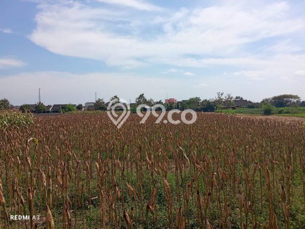 Tanah Kawasan Prambanan, Luas 2975m2m², Lokasi Strategis, Kawasan Asri, Kontur Datar Tanah Kawasan Prambanan, Luas 2975m2m², Lokasi Strategis, Kawasan Asri, Kontur Datar