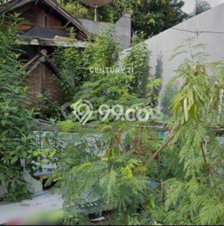 Rumah Modern Cantik 0 Kamar Bisa Langsung Pindah di Sawah Besar Rumah Modern Cantik 0 Kamar Bisa Langsung Pindah di Sawah Besar