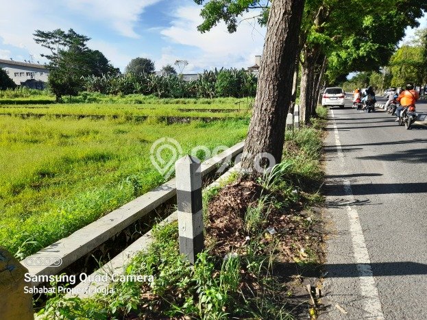 Jual Tanah Kawasan Gamping, Luas 1449m2m², Lingkungan Nyaman, Kontur Datar Jual Tanah Kawasan Gamping, Luas 1449m2m², Lingkungan Nyaman, Kontur Datar