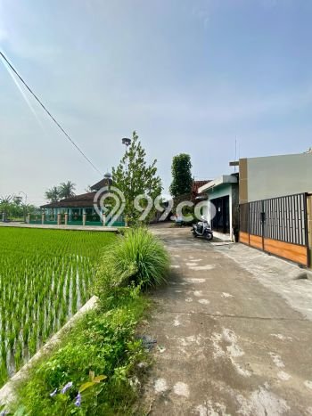 SPECIAL PRICE! Rumah Asri di Bantul, LT 107m² LB 70m² SPECIAL PRICE! Rumah Asri di Bantul, LT 107m² LB 70m²