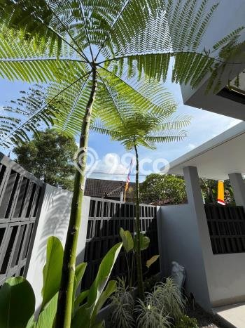 Jual Rumah Strategis Bagus Punya 3 KT di Mlati Sleman SHM Jual Rumah Strategis Bagus Punya 3 KT di Mlati Sleman SHM