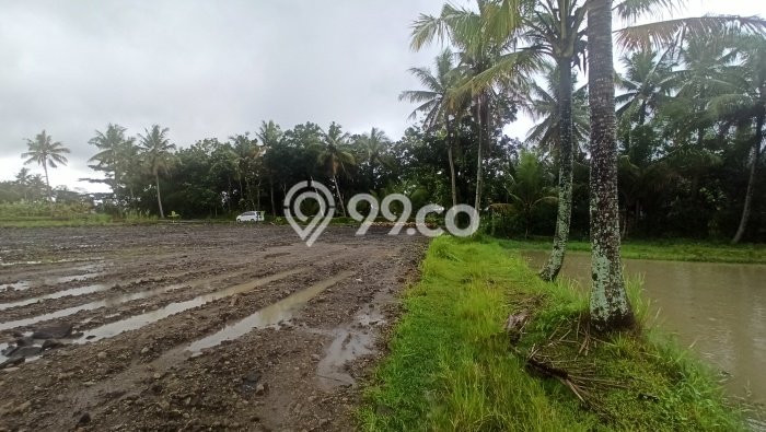 Tanah Area Berkembang Kawasan Pengasih, Luas 150m², Dekat ke Pusat Kota Tanah Area Berkembang Kawasan Pengasih, Luas 150m², Dekat ke Pusat Kota