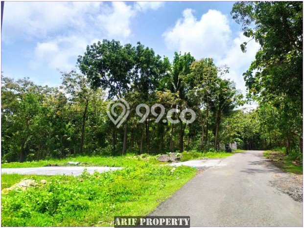 TANAH PROSPEKTIF! Tanah di Panjatan, Luas 131m², Jalur Strategis TANAH PROSPEKTIF! Tanah di Panjatan, Luas 131m², Jalur Strategis
