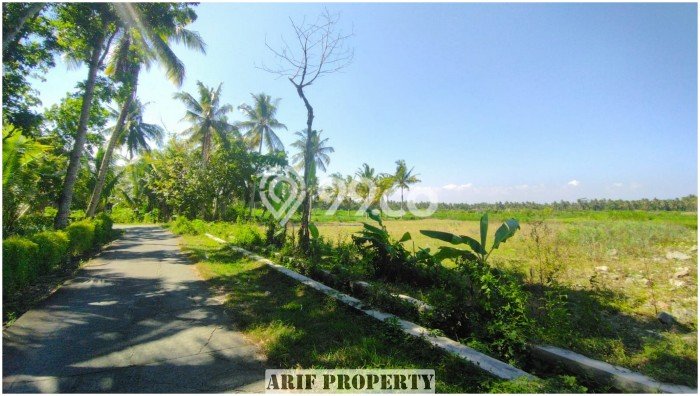 Tanah Area Prospektif Kawasan Pengasih, Luas 167m², Dekat ke Fasilitas, Lingkungan Asri Tanah Area Prospektif Kawasan Pengasih, Luas 167m², Dekat ke Fasilitas, Lingkungan Asri