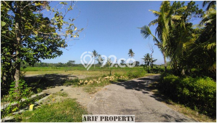 Tanah Area Prospektif Kawasan Pengasih, Luas 167m², Dekat ke Fasilitas, Lingkungan Asri Tanah Area Prospektif Kawasan Pengasih, Luas 167m², Dekat ke Fasilitas, Lingkungan Asri