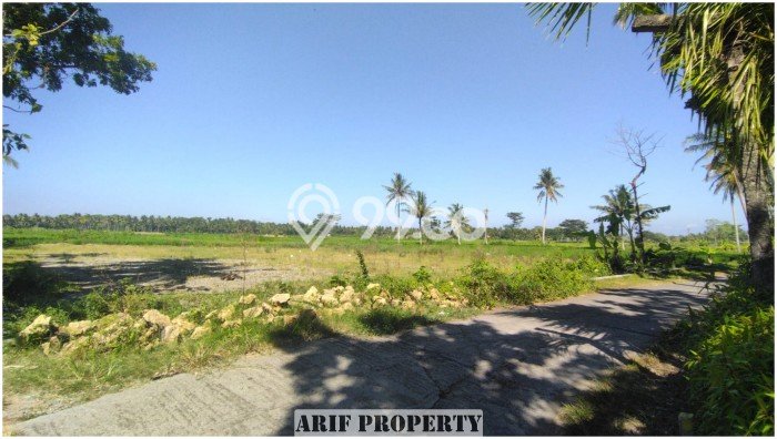 Tanah Area Prospektif Kawasan Pengasih, Luas 167m², Dekat ke Fasilitas, Lingkungan Asri Tanah Area Prospektif Kawasan Pengasih, Luas 167m², Dekat ke Fasilitas, Lingkungan Asri