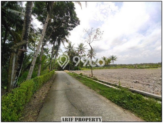 Tanah Area Prospektif Kawasan Pengasih, Luas 167m², Dekat ke Fasilitas, Lingkungan Asri Tanah Area Prospektif Kawasan Pengasih, Luas 167m², Dekat ke Fasilitas, Lingkungan Asri