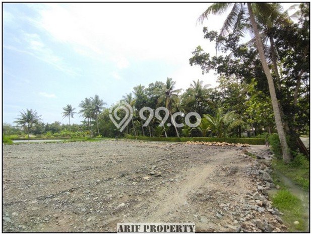 Tanah Area Prospektif Kawasan Pengasih, Luas 167m², Dekat ke Fasilitas, Lingkungan Asri Tanah Area Prospektif Kawasan Pengasih, Luas 167m², Dekat ke Fasilitas, Lingkungan Asri