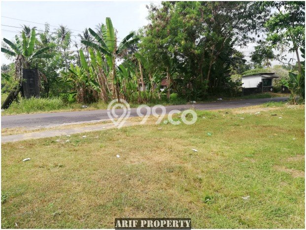 LOKASI STRATEGIS! Tanah di Ngemplak, Luas 645m², Lingkungan Nyaman, Cocok untuk Investasi LOKASI STRATEGIS! Tanah di Ngemplak, Luas 645m², Lingkungan Nyaman, Cocok untuk Investasi