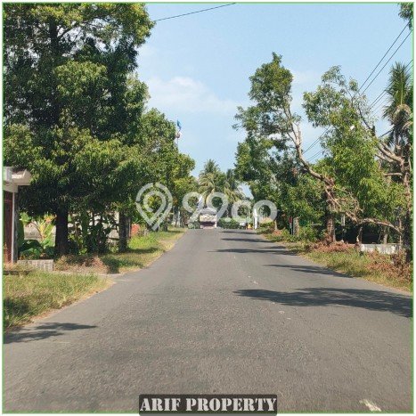 Tanah di Sedayu, Luas 111m², Area Premium, Ideal untuk Perumahan Tanah di Sedayu, Luas 111m², Area Premium, Ideal untuk Perumahan