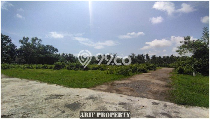 PRIME LOCATION! Tanah Kawasan Ngombol, Luas 141m², Ideal untuk Investasi PRIME LOCATION! Tanah Kawasan Ngombol, Luas 141m², Ideal untuk Investasi