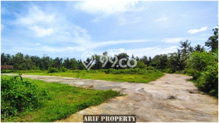 PRIME LOCATION! Tanah Kawasan Ngombol, Luas 141m², Ideal untuk Investasi PRIME LOCATION! Tanah Kawasan Ngombol, Luas 141m², Ideal untuk Investasi