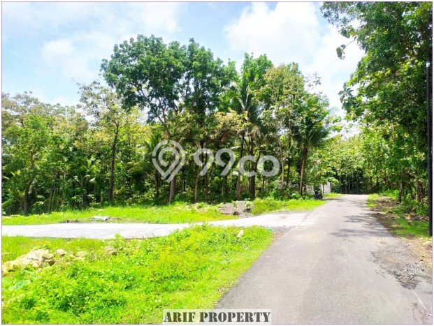 Tanah Area Berkembang di Panjatan, Luas 131m², Kawasan Nyaman, Akses Panjatan, Kulon Progo, Kulon Progo Tanah Area Berkembang di Panjatan, Luas 131m², Kawasan Nyaman, Akses Panjatan, Kulon Progo, Kulon Progo