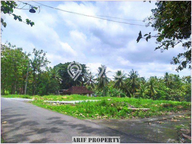 Tanah Area Berkembang di Panjatan, Luas 131m², Kawasan Nyaman, Akses Panjatan, Kulon Progo, Kulon Progo Tanah Area Berkembang di Panjatan, Luas 131m², Kawasan Nyaman, Akses Panjatan, Kulon Progo, Kulon Progo