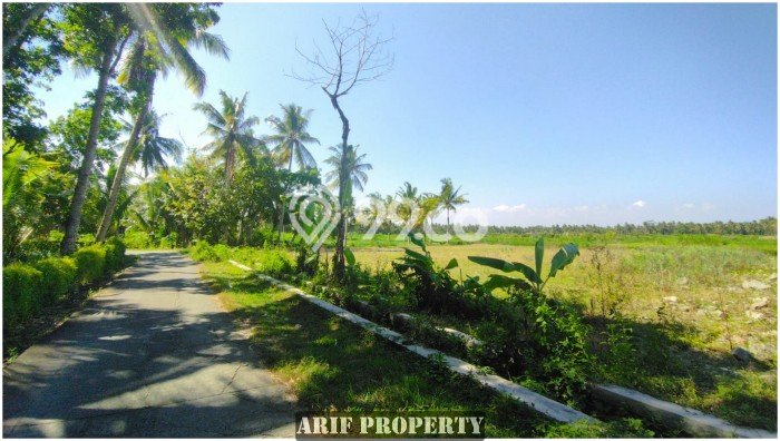 Dijual Tanah Lokasi Strategis di Pengasih, Luas 167m², Dekat Pengasih, Kulon Progo, Kulon Progo Dijual Tanah Lokasi Strategis di Pengasih, Luas 167m², Dekat Pengasih, Kulon Progo, Kulon Progo
