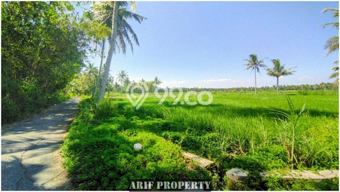 Tanah Komersial Kawasan Pengasih, Luas 166m², Pinggir Jalan Tanah Komersial Kawasan Pengasih, Luas 166m², Pinggir Jalan