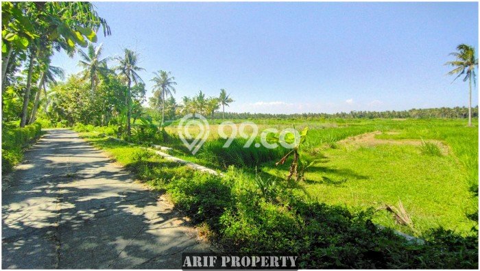 Tanah Komersial Kawasan Pengasih, Luas 166m², Pinggir Jalan Tanah Komersial Kawasan Pengasih, Luas 166m², Pinggir Jalan
