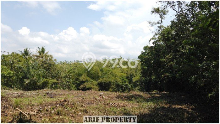 HARGA TERBAIK! Tanah di Moyudan, Luas 184m², Lokasi Prima HARGA TERBAIK! Tanah di Moyudan, Luas 184m², Lokasi Prima