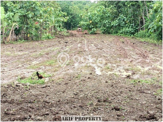 Tanah Lokasi Prima Kawasan Imogiri , Luas 125m², Lingkungan Asri, Dekat Imogiri , Bantul, Bantul Tanah Lokasi Prima Kawasan Imogiri , Luas 125m², Lingkungan Asri, Dekat Imogiri , Bantul, Bantul