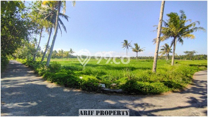 LOKASI STRATEGIS! Tanah Kawasan Pengasih, Luas 127m², Kawasan Berkembang, Cocok untuk Investasi LOKASI STRATEGIS! Tanah Kawasan Pengasih, Luas 127m², Kawasan Berkembang, Cocok untuk Investasi