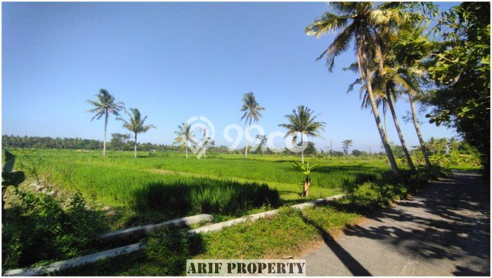 LOKASI STRATEGIS! Tanah Kawasan Pengasih, Luas 127m², Kawasan Berkembang, Cocok untuk Investasi LOKASI STRATEGIS! Tanah Kawasan Pengasih, Luas 127m², Kawasan Berkembang, Cocok untuk Investasi