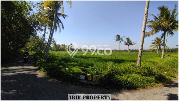 LOKASI STRATEGIS! Tanah Kawasan Pengasih, Luas 127m², Kawasan Berkembang, Cocok untuk Investasi LOKASI STRATEGIS! Tanah Kawasan Pengasih, Luas 127m², Kawasan Berkembang, Cocok untuk Investasi
