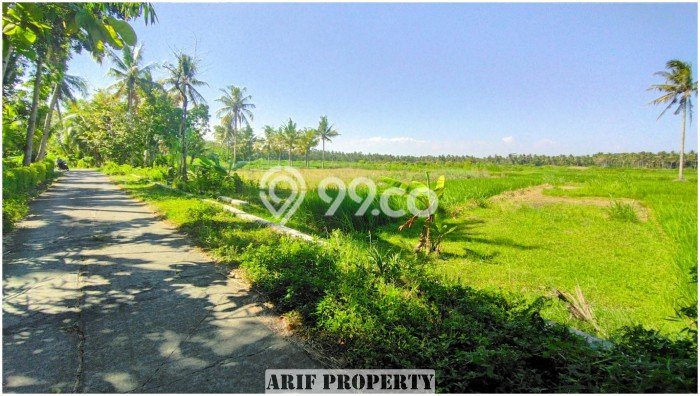 LOKASI STRATEGIS! Tanah Kawasan Pengasih, Luas 127m², Kawasan Berkembang, Cocok untuk Investasi LOKASI STRATEGIS! Tanah Kawasan Pengasih, Luas 127m², Kawasan Berkembang, Cocok untuk Investasi