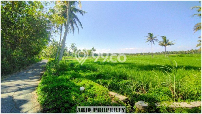 LOKASI STRATEGIS! Tanah Kawasan Pengasih, Luas 127m², Kawasan Berkembang, Cocok untuk Investasi LOKASI STRATEGIS! Tanah Kawasan Pengasih, Luas 127m², Kawasan Berkembang, Cocok untuk Investasi
