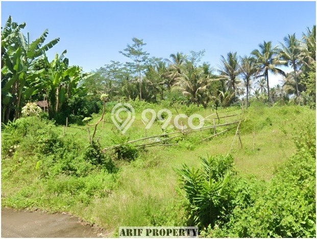 Tanah Area Berkembang di Mertoyudan, Luas 107m², Cocok untuk Investasi Tanah Area Berkembang di Mertoyudan, Luas 107m², Cocok untuk Investasi