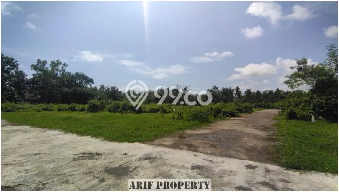 Tanah di Ngombol, Luas 141m², Sertifikat SHM, Akses Ngombol, Purworejo, Purworejo Tanah di Ngombol, Luas 141m², Sertifikat SHM, Akses Ngombol, Purworejo, Purworejo