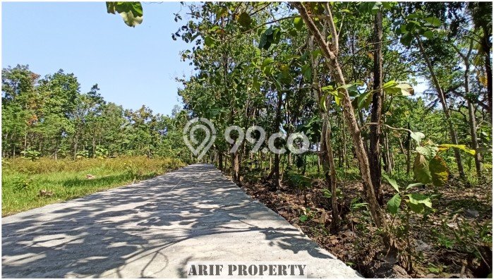 AREA PROSPEKTIF! Tanah Kawasan Wates, Luas 198m², Dekat Fasilitas Umum AREA PROSPEKTIF! Tanah Kawasan Wates, Luas 198m², Dekat Fasilitas Umum