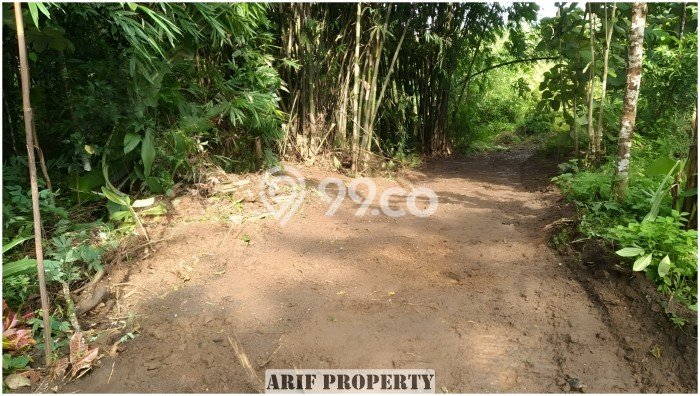 Jual Tanah Area Prospektif di Moyudan, Luas 184m², Akses Moyudan, Sleman, Sleman Jual Tanah Area Prospektif di Moyudan, Luas 184m², Akses Moyudan, Sleman, Sleman