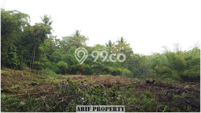 Jual Tanah Area Prospektif di Moyudan, Luas 184m², Akses Moyudan, Sleman, Sleman Jual Tanah Area Prospektif di Moyudan, Luas 184m², Akses Moyudan, Sleman, Sleman