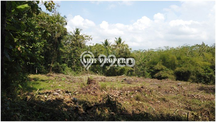 HARGA MENARIK! Tanah Kawasan Moyudan, Luas 184m², Lingkungan Asri, Bebas Longsor HARGA MENARIK! Tanah Kawasan Moyudan, Luas 184m², Lingkungan Asri, Bebas Longsor