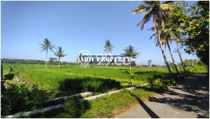 Tanah Lokasi Strategis Kawasan Pengasih, Luas 127m², Dekat ke Pusat Kota, Dekat Pengasih, Kulon Progo, Kulon Progo Tanah Lokasi Strategis Kawasan Pengasih, Luas 127m², Dekat ke Pusat Kota, Dekat Pengasih, Kulon Progo, Kulon Progo
