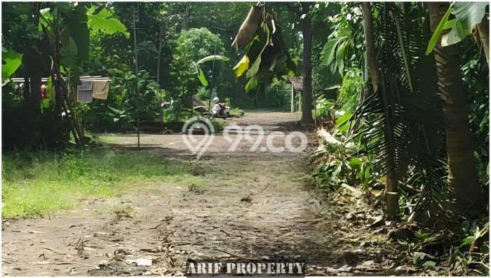 Jual Tanah Kawasan Moyudan, Luas 184m², Lingkungan Asri, Kontur Datar Jual Tanah Kawasan Moyudan, Luas 184m², Lingkungan Asri, Kontur Datar
