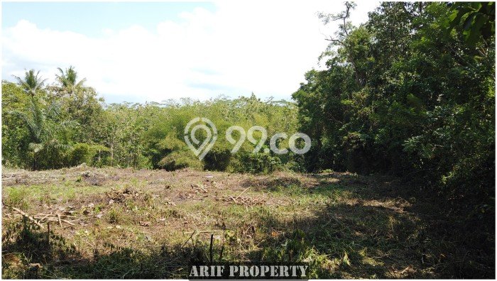 Jual Tanah Kawasan Moyudan, Luas 184m², Lingkungan Asri, Kontur Datar Jual Tanah Kawasan Moyudan, Luas 184m², Lingkungan Asri, Kontur Datar