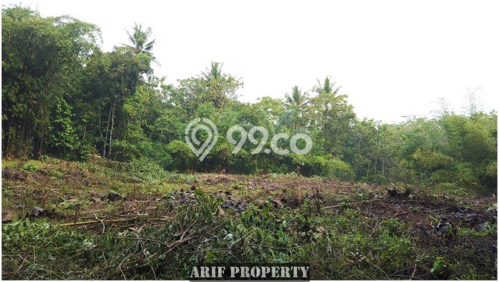 Jual Tanah Kawasan Moyudan, Luas 184m², Lingkungan Asri, Kontur Datar Jual Tanah Kawasan Moyudan, Luas 184m², Lingkungan Asri, Kontur Datar