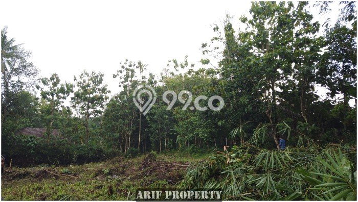Jual Tanah Kawasan Moyudan, Luas 184m², Lingkungan Asri, Kontur Datar Jual Tanah Kawasan Moyudan, Luas 184m², Lingkungan Asri, Kontur Datar