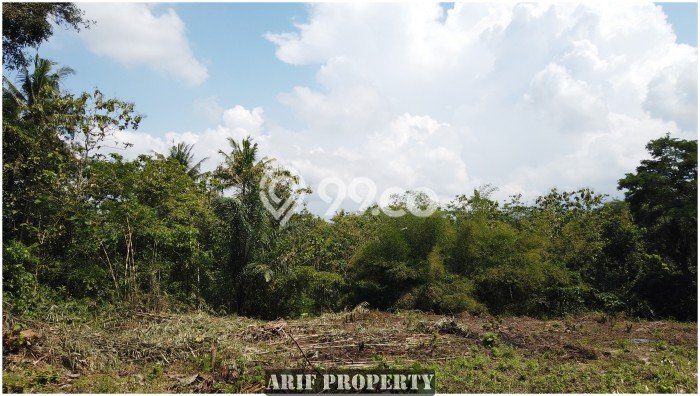 Jual Tanah Kawasan Moyudan, Luas 184m², Lingkungan Asri, Kontur Datar Jual Tanah Kawasan Moyudan, Luas 184m², Lingkungan Asri, Kontur Datar