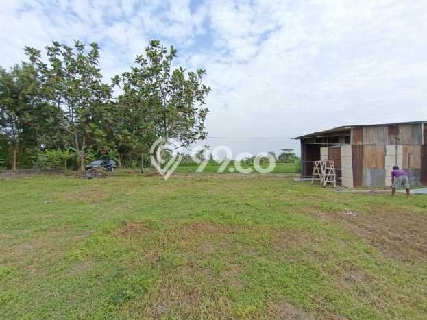 AREA PROSPEKTIF! Tanah di Sleman, Luas 178m2m², Dekat Fasilitas Umum, Kawasan Berkembang AREA PROSPEKTIF! Tanah di Sleman, Luas 178m2m², Dekat Fasilitas Umum, Kawasan Berkembang