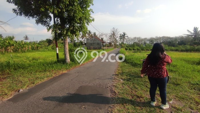 Tanah Kavling Dijual di Sleman, Yogyakarta dengan Luas Tanah 126m2 Tanah Kavling Dijual di Sleman, Yogyakarta dengan Luas Tanah 126m2