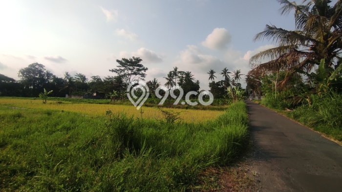 Tanah Kavling Dijual di Yogyakarta dengan Spesifikasi 16m2 Tanah Kavling Dijual di Yogyakarta dengan Spesifikasi 16m2
