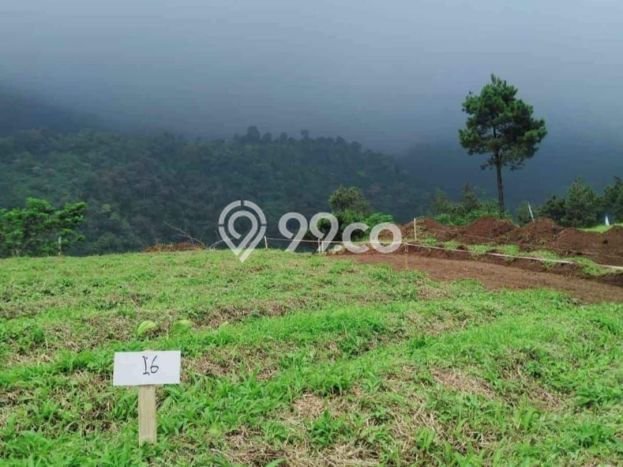 Tanah Siap Bangun Dijual di Bogor Punya Luas 120m2 Tanah Siap Bangun Dijual di Bogor Punya Luas 120m2