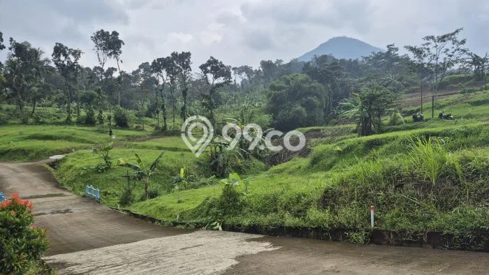 Tanah Dijual Area Strategis di Sukmajaya Depok 100m2 Tanah Dijual Area Strategis di Sukmajaya Depok 100m2