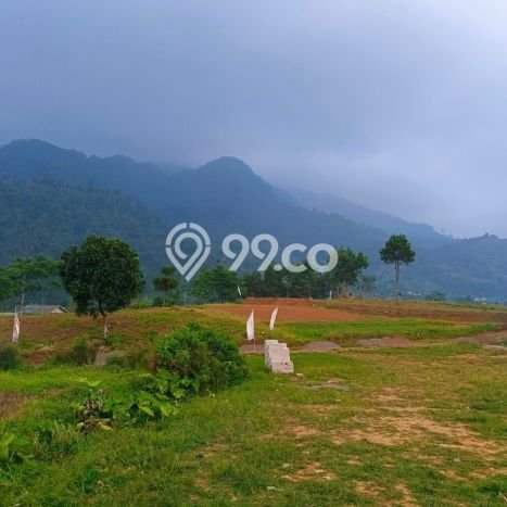 Tanah Siap Bangun Dijual di Bogor Punya Luas 120m2 Tanah Siap Bangun Dijual di Bogor Punya Luas 120m2