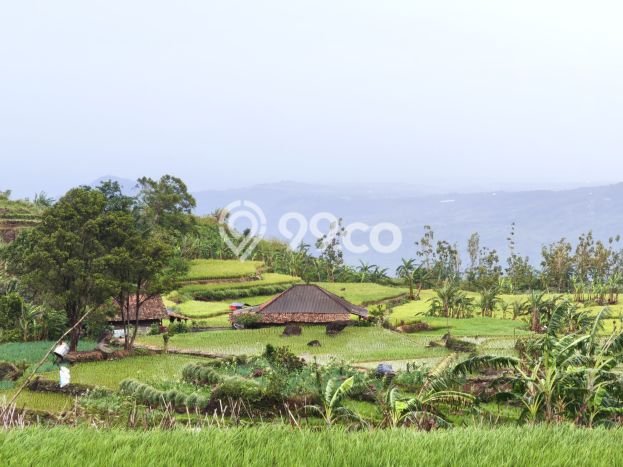 Kavling Tanah untuk Dijual di Sentul City, Bogor, Luas 1000m2 Kavling Tanah untuk Dijual di Sentul City, Bogor, Luas 1000m2