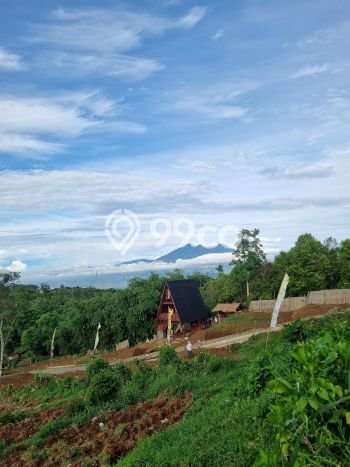 Dijual Tanah Lokasi Puncak, Bogor Seluas 1000m2 Dijual Tanah Lokasi Puncak, Bogor Seluas 1000m2