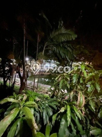Dijual Rumah Mewah Megah Dengan View Cantik di Pantai Indah Kapuk, Jakarta Utara Dijual Rumah Mewah Megah Dengan View Cantik di Pantai Indah Kapuk, Jakarta Utara