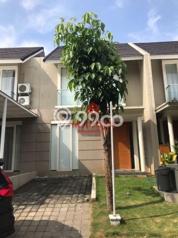 Jarang Ada! Rumah Sewa 3 Kamar Nyaman Siap Huni Sambiroto Jarang Ada! Rumah Sewa 3 Kamar Nyaman Siap Huni Sambiroto